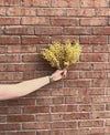 Natural Berry Bush 12"