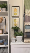 Kobenhavner Glazed Pot - White