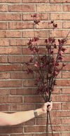 Magnolia Blossom Spray