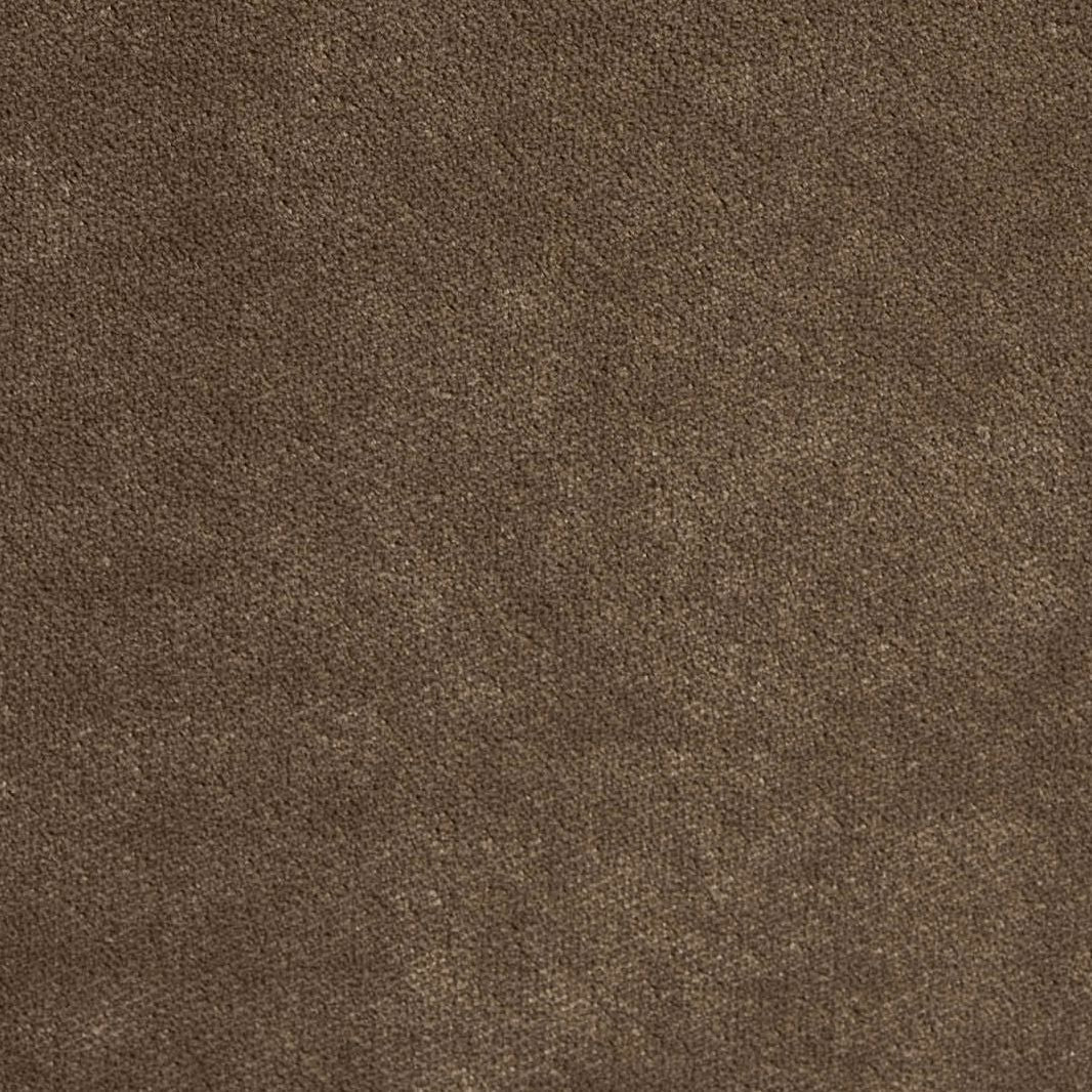 Prima Velvet Porcini Fabric By the Yard 