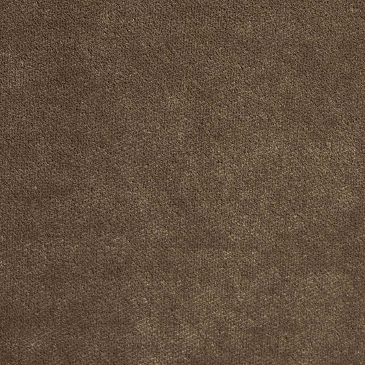 Prima Velvet Porcini Fabric By the Yard 