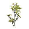 Queen Anne's Lace Spray Greenery 