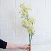 Queen Anne's Lace Spray Greenery 