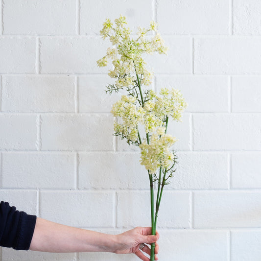 Queen Anne's Lace Spray Greenery 
