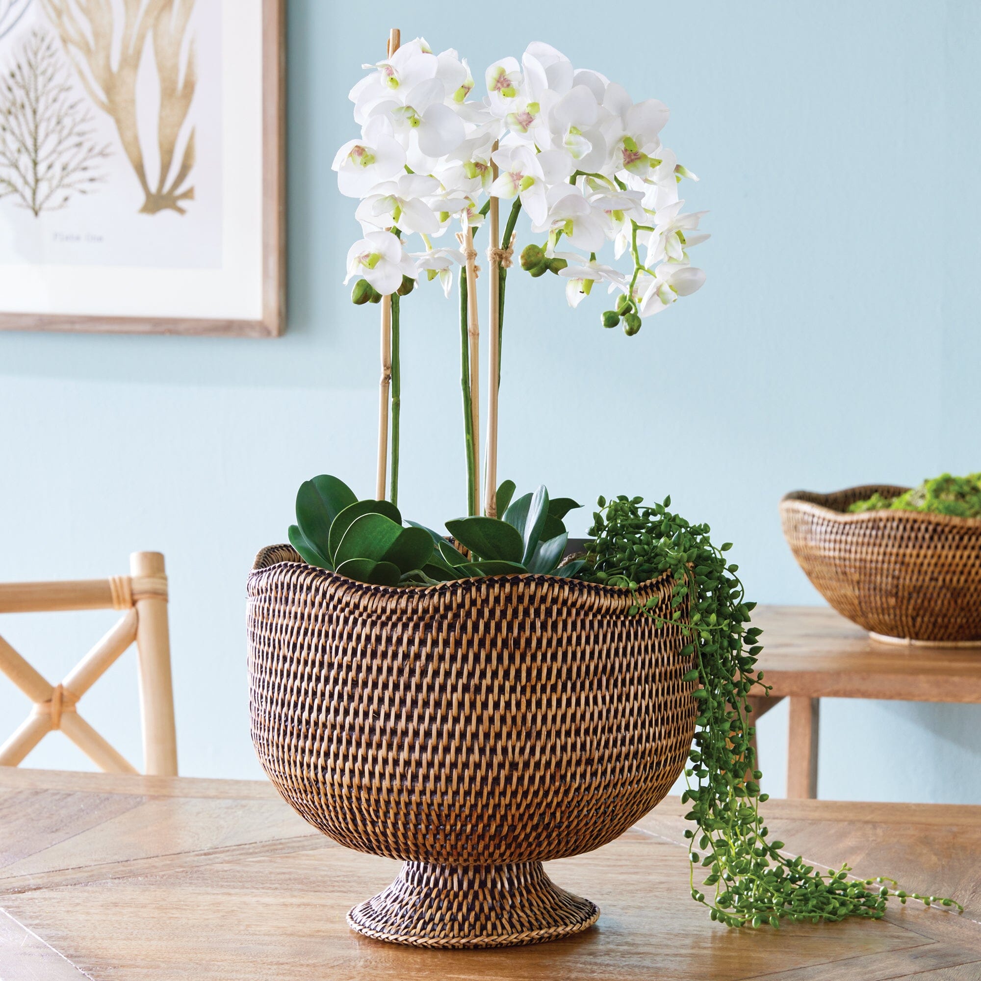 Rattan Footed Pot Vases, Planters & Jars 