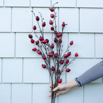 Red Rosehip Stem - 41" Greenery 
