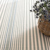 Rugby Stripe Light Blue Handwoven Indoor/Outdoor Rug Rugs 