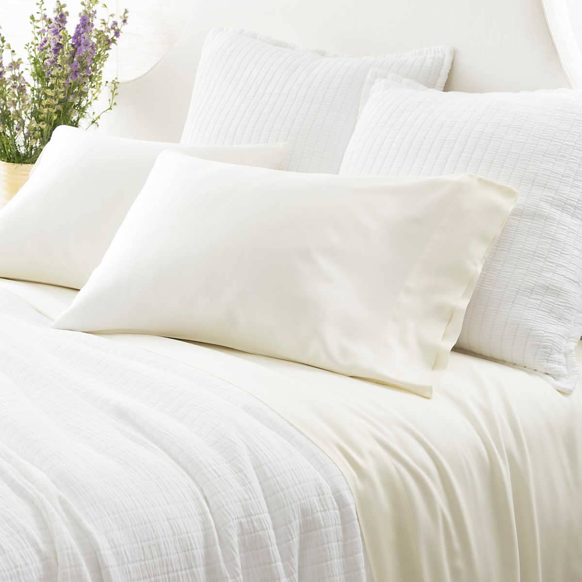 Silken Solid Ivory Sheet Set Sheet Sets 