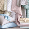 Silken Solid Robin's Egg Blue Pillowcases Pillowcases 