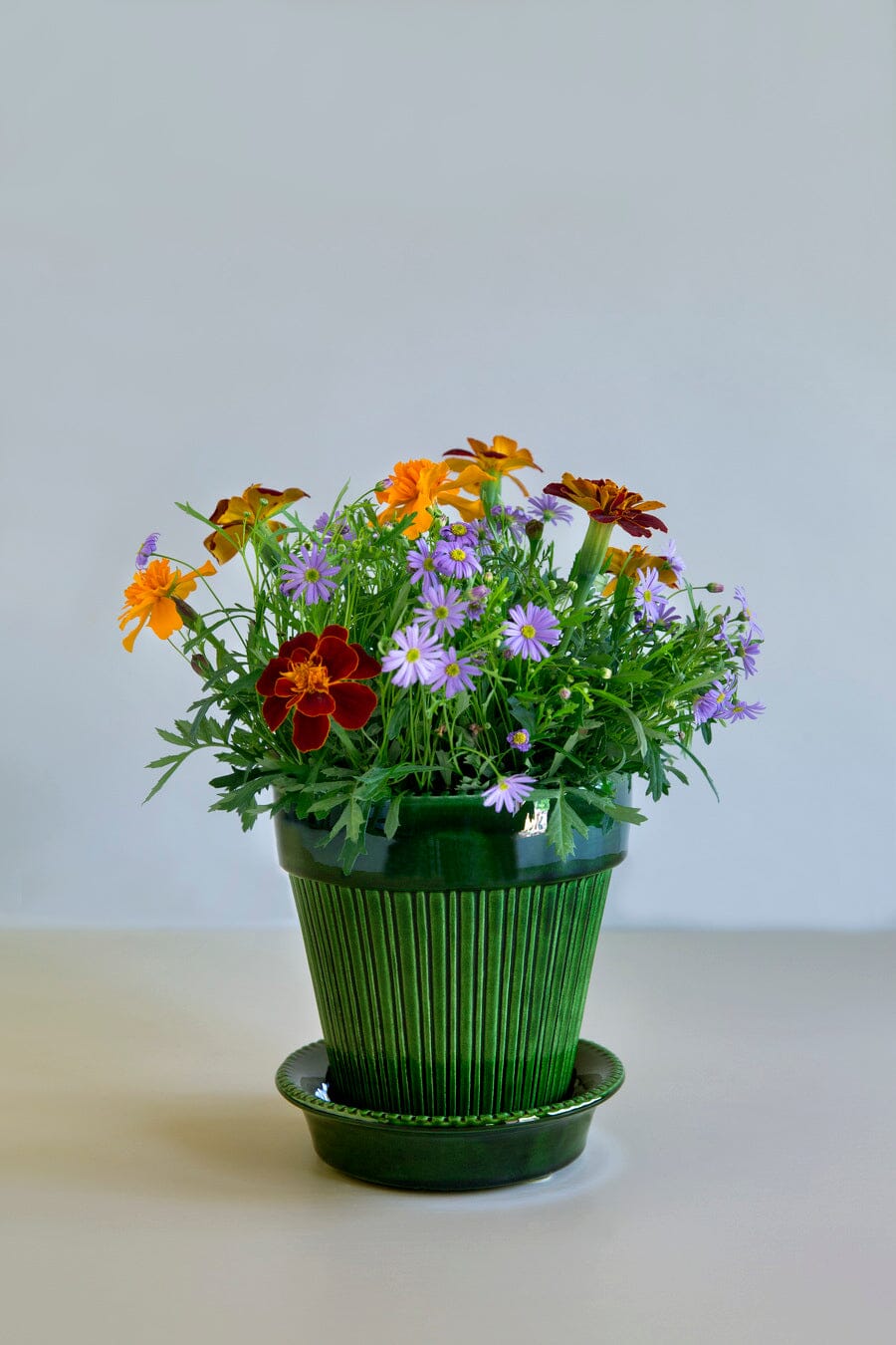 Simona Pot & Saucer - Emerald Green Vases, Planters & Jars 