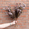 Sleepy Silene Bush 24" Greenery 