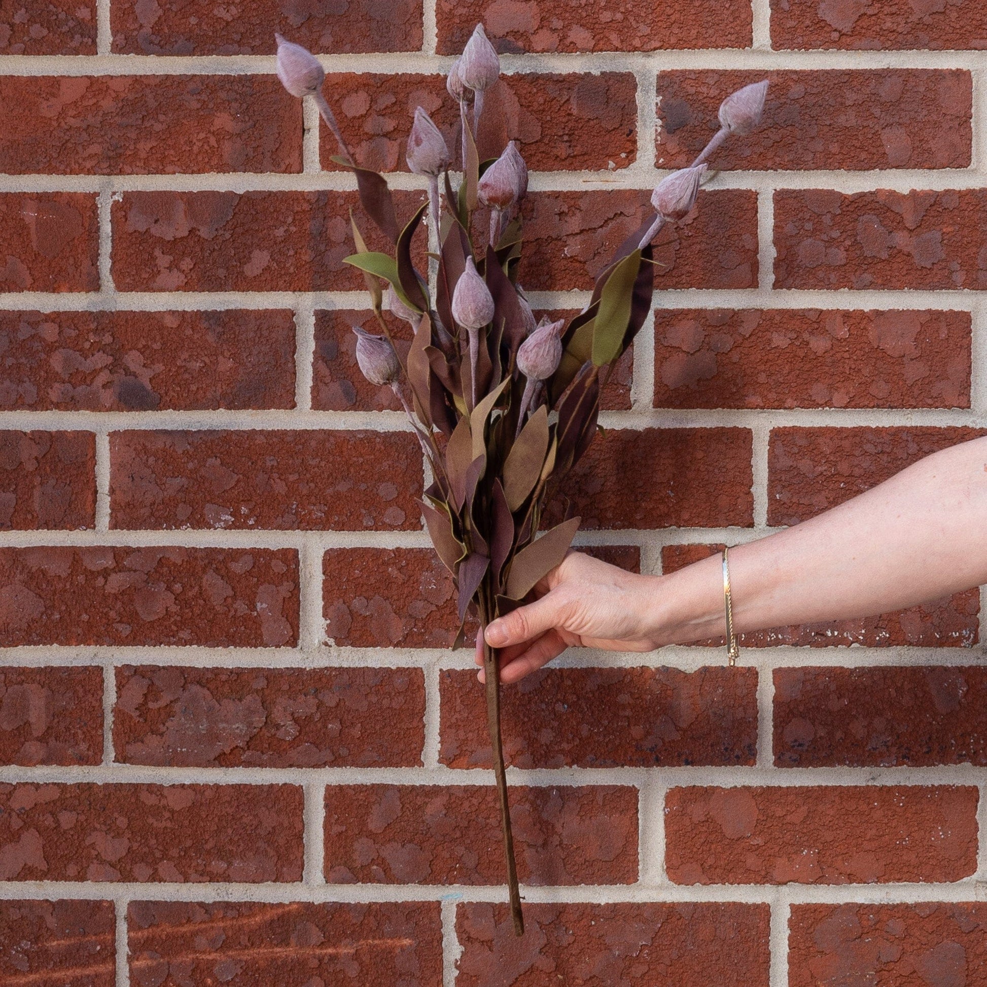 Sleepy Silene Bush 24" Greenery 