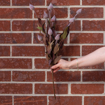 Sleepy Silene Bush 24" Greenery 