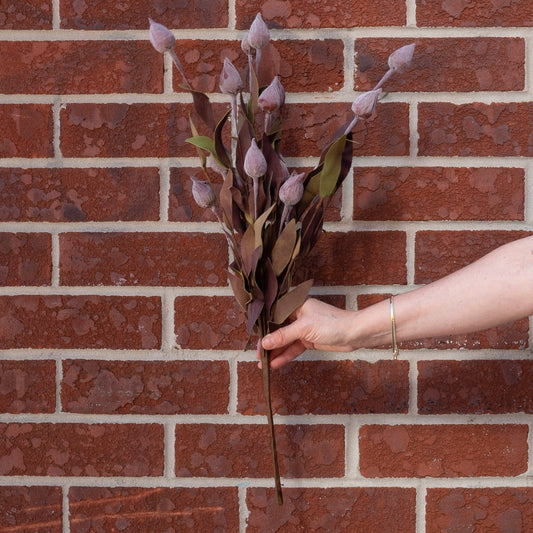 Sleepy Silene Bush 24" Greenery 