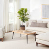 Sonoma Ivory Handwoven Performance Rug Rugs 