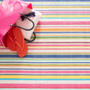 Summer Stripe Handwoven Indoor/Outdoor Rug - Multi Rugs 
