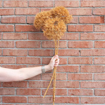 Tan Allium Stem 29" Greenery 