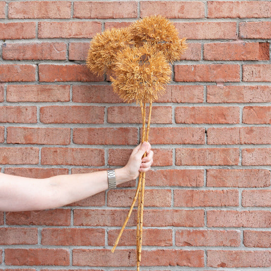 Tan Allium Stem 29" Greenery 