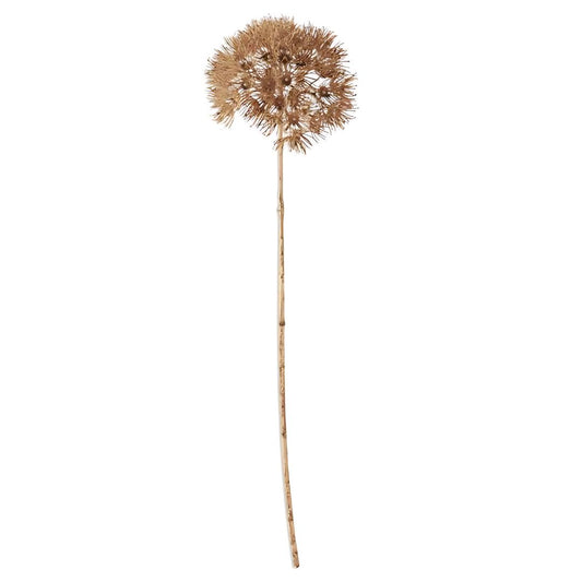Tan Allium Stem 29" Greenery 