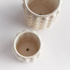 Valencia Pots 