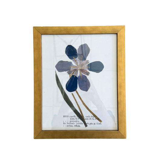 Vintage Blue Flower Art On Distressed Background Frame Framed Art 