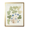 Vintage Bookplate With Blue Anemone Frame Framed Art 