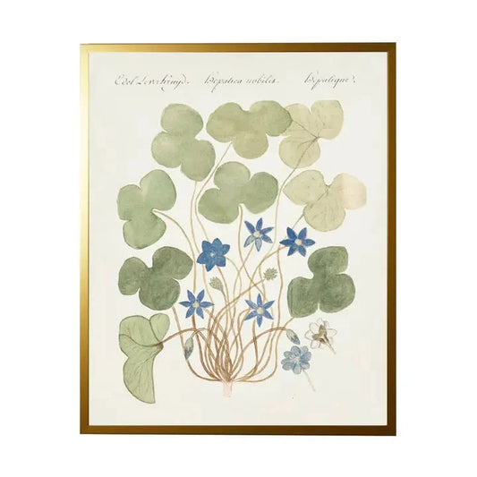 Vintage Bookplate With Blue Anemone Frame Framed Art 