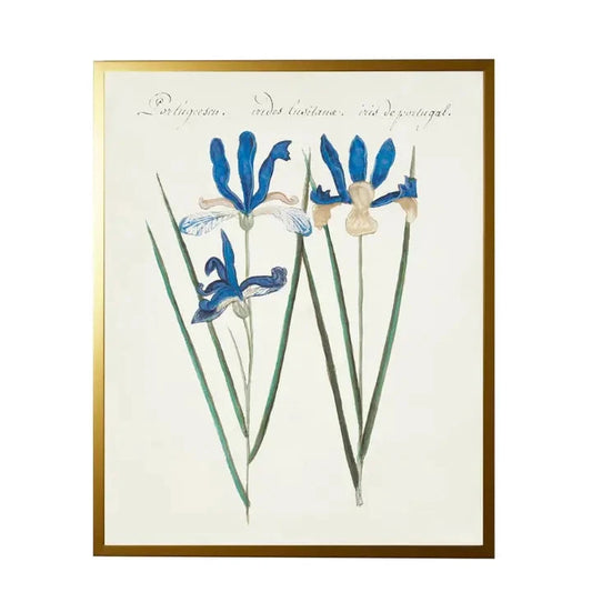 Vintage Bookplate with Iris Frame Framed Art 