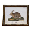 Vintage Bunny Bookplate Print Framed Art 