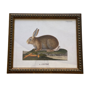 Vintage Bunny Bookplate Print Framed Art 