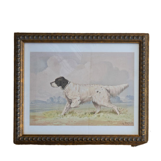 Vintage Spotted Retriever on a Distressed Natural Background Frame Framed Art 