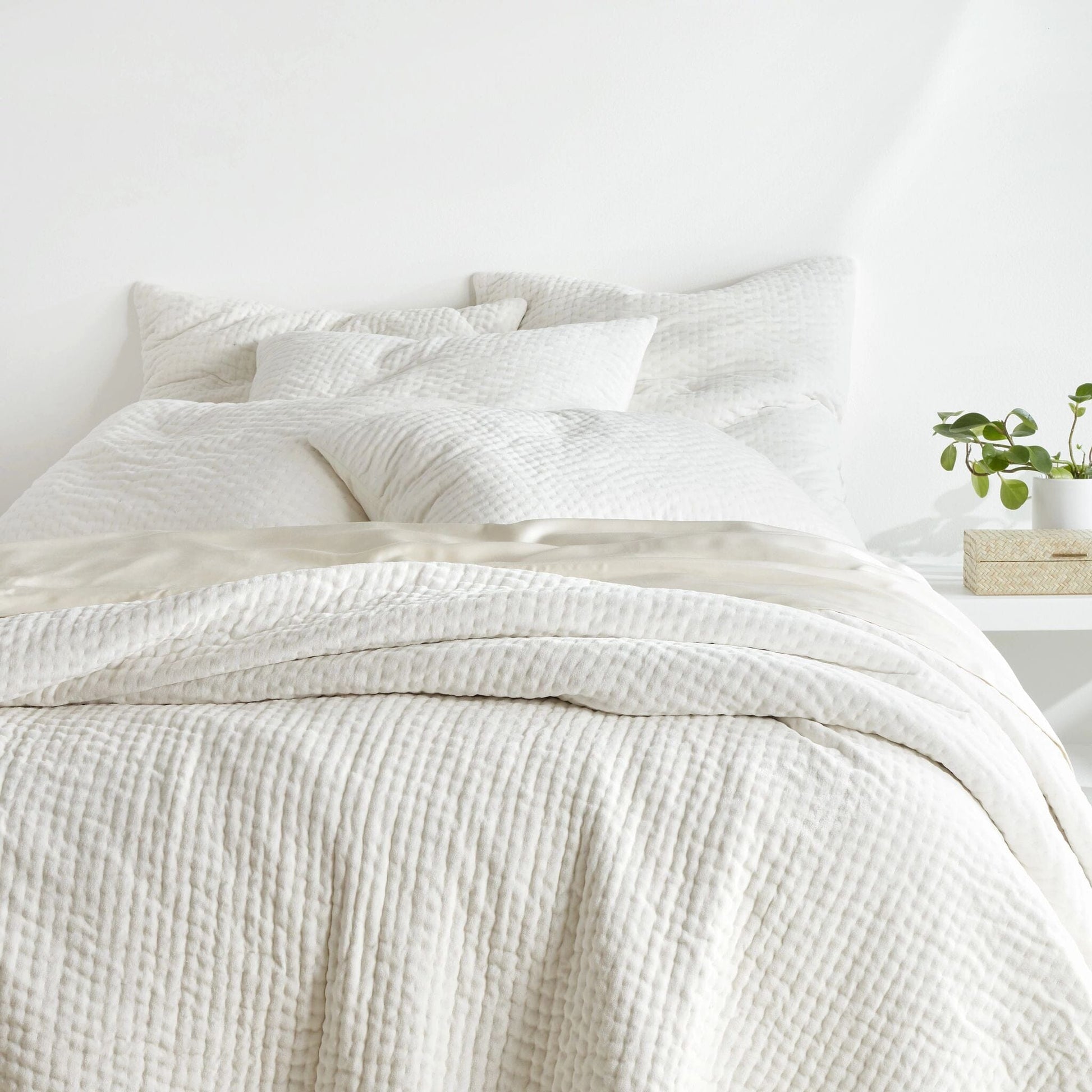 Viola Velvet Dove White Quilted Sham Quilted Sham 