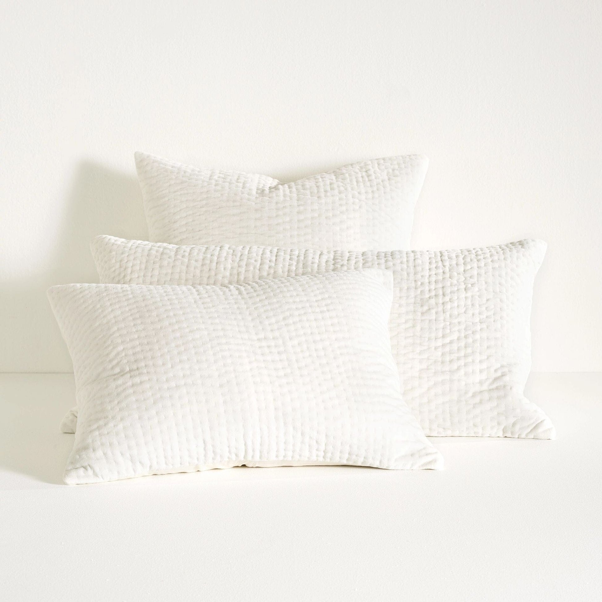 Viola Velvet Dove White Quilted Sham Quilted Sham 