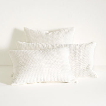 Viola Velvet Dove White Quilted Sham Quilted Sham 