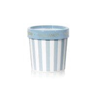 Volcano Blue Gelato Cup Candle Candles & Home Fragrance 