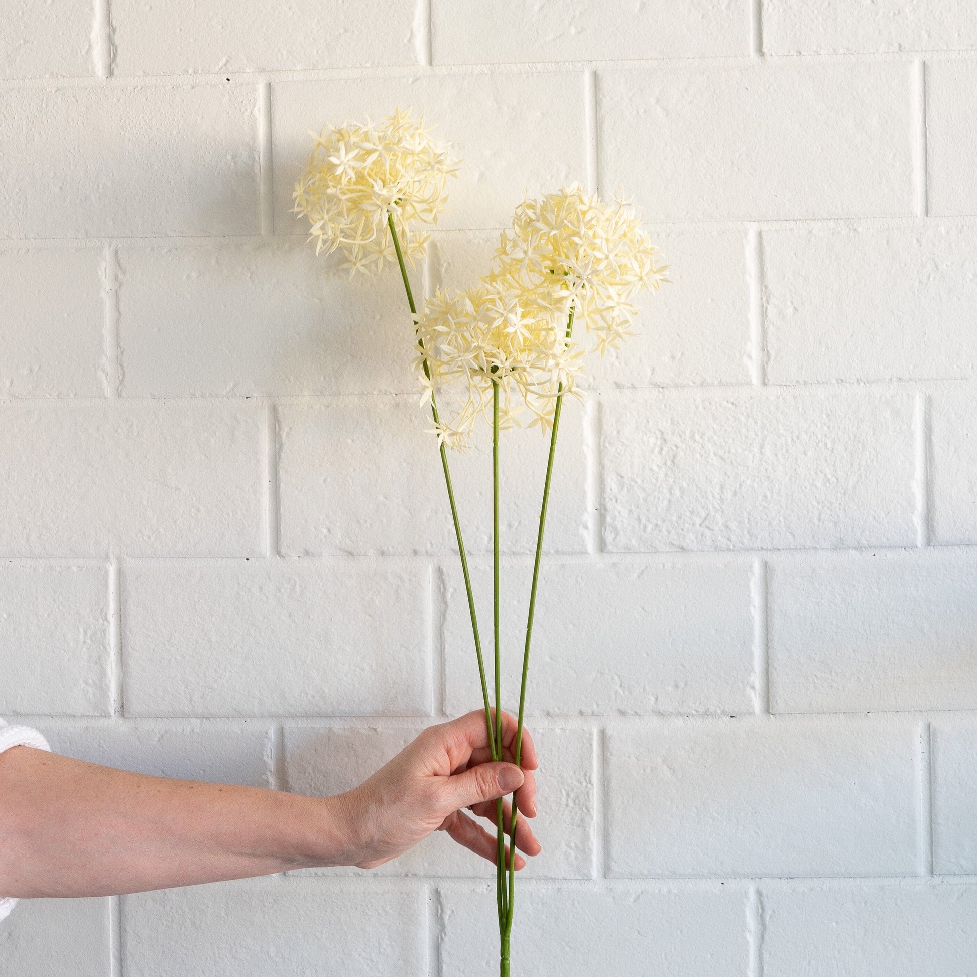 White Allium Spray 25" Greenery 