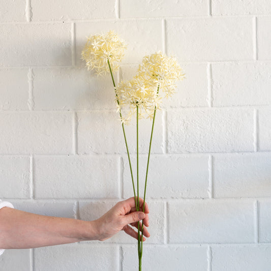 White Allium Spray 25" Greenery 