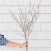 White Birch Twig Branch 40" Indoor/Outdoor Greenery 