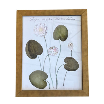 White Flowers Bookplate Vintage Print Framed Art 