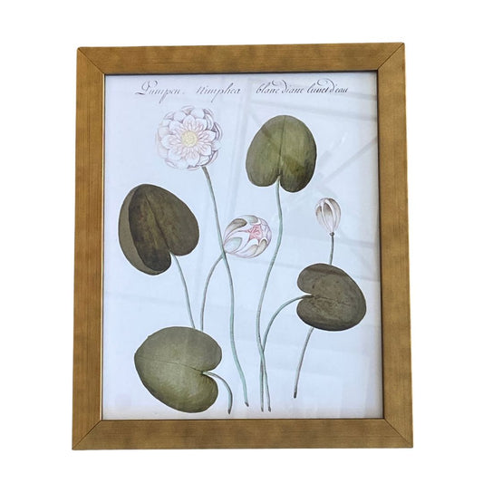 White Flowers Bookplate Vintage Print Framed Art 