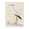 Wood Stark 1778 Framed Art 
