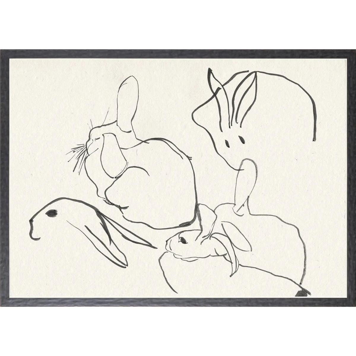 Cachet Rabbit Study Framed Art 