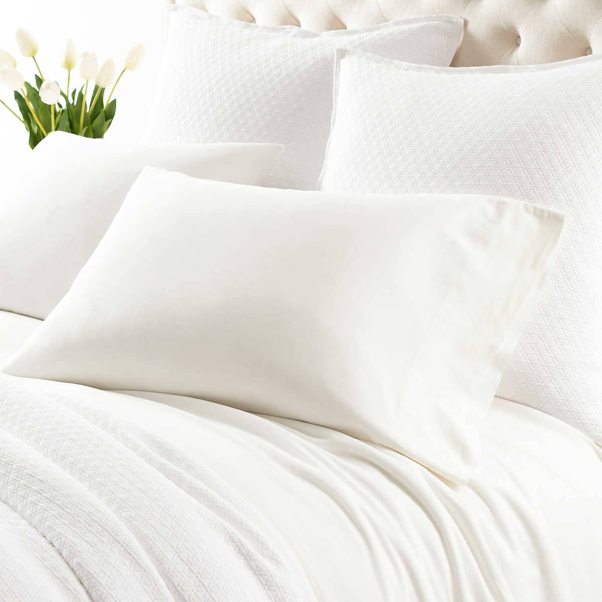 Cozy Cotton Ivory Pillowcases 