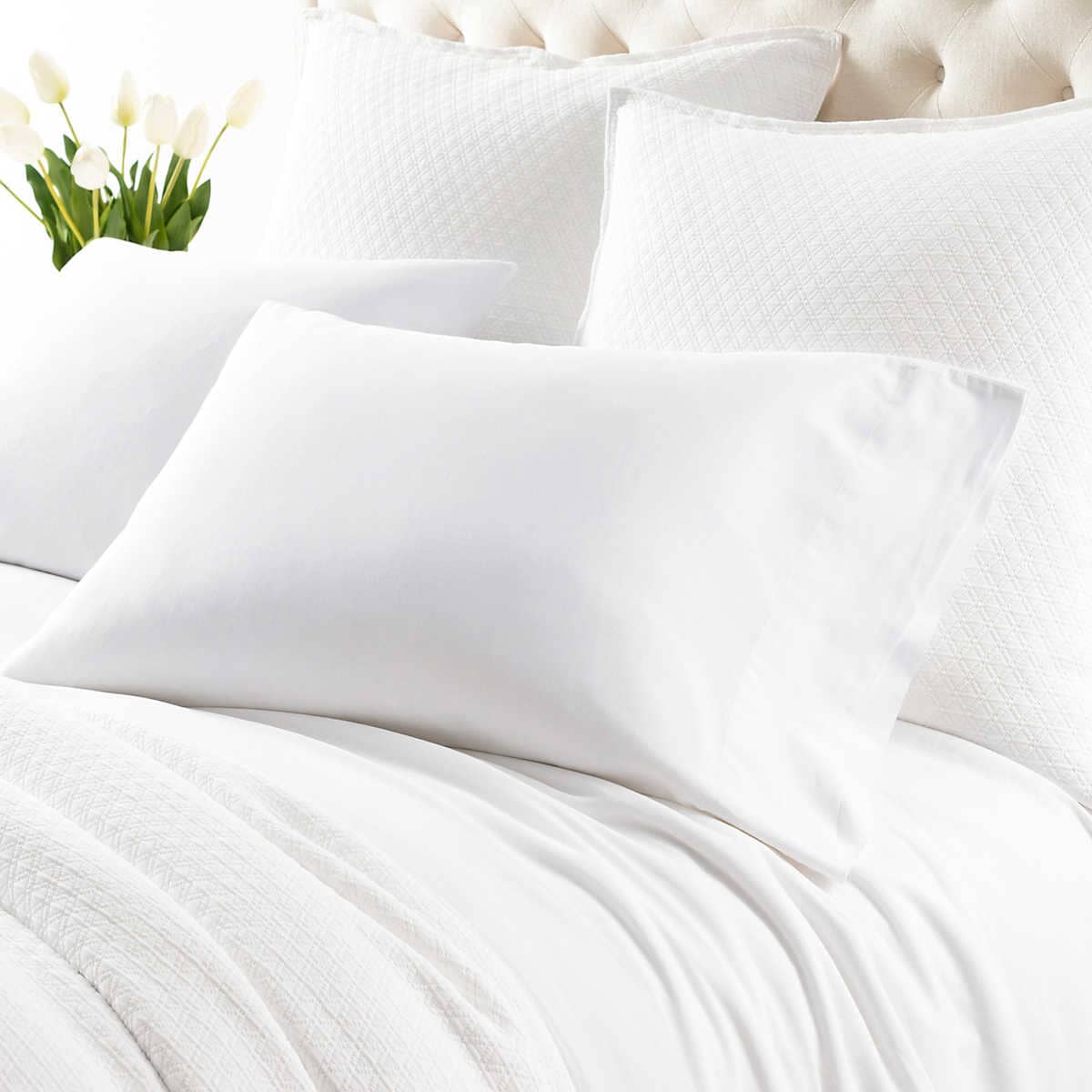 Cozy Cotton White Pillowcases Rainsford Company