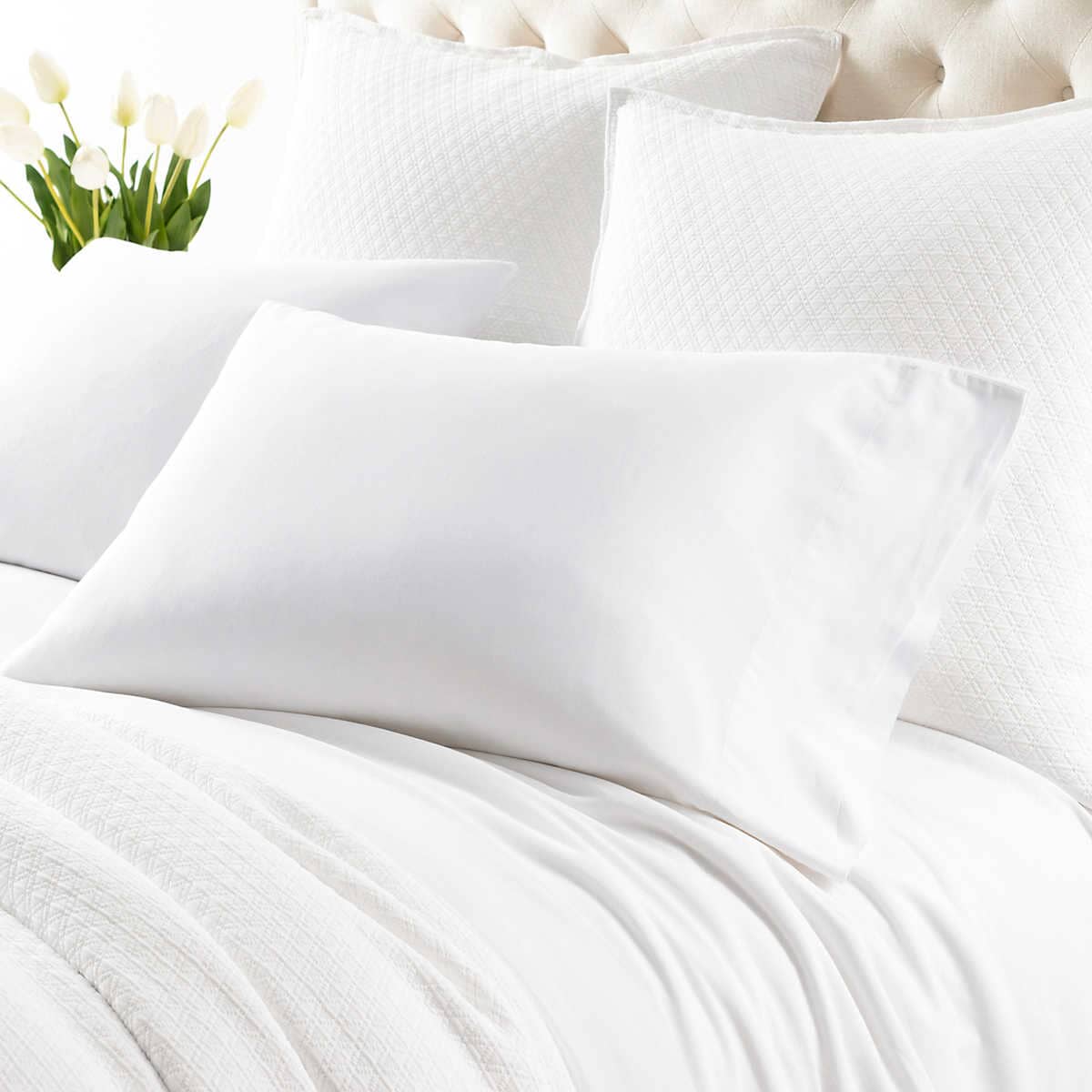 Cozy Cotton White Pillowcases 