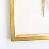 Crowned Parakeet gold frame. Close-up detail view.