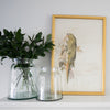 Crowned Parakeet styled with vases. Styled view.