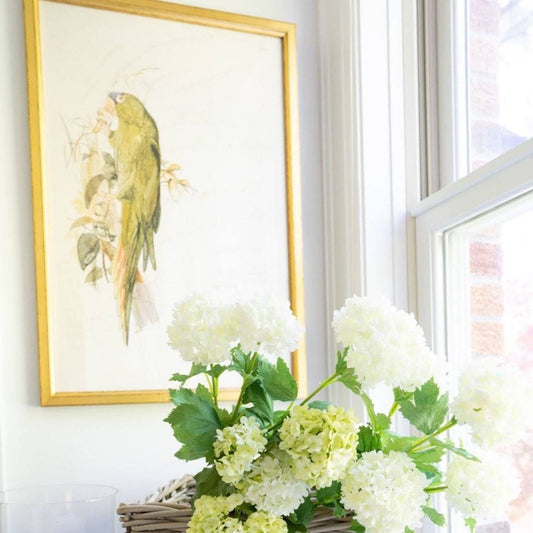 Crowned Parakeet styled with florals beside a window. Styled view.