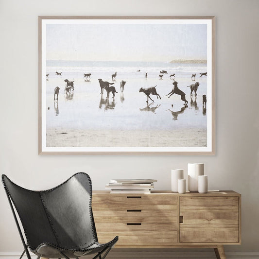 Dogs Day at the Beach. Styled in a neutral living room. Styled view.