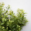 Faux Boxwood Bush 12". Close-up detail view. 